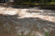 View of shaded campsite.
