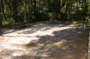 View of shaded campsite.