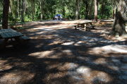 View of shaded campsite.