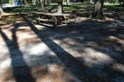 View of shaded campsite.
