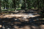 View of shaded campsite.