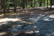 View of shaded campsite.