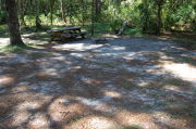 View of shaded campsite.