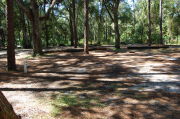 View of shaded campsite.