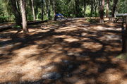View of shaded campsite.