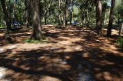 View of shaded campsite.