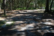 View of shaded campsite.