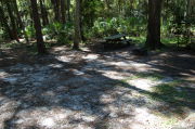 View of shaded campsite.