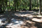 View of shaded campsite.