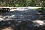 View of shaded campsite.