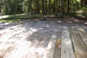 View of shaded campsite.