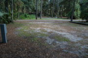 Partially view of shaded campsite.