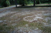 Partially view of shaded campsite.