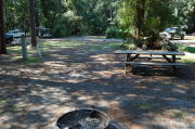 View of shaded campsite.