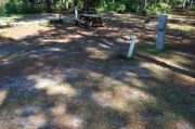 View of shaded campsite.