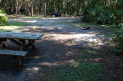 View of shaded campsite.