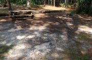 View of shaded campsite.