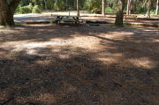 Partially view of shaded campsite.