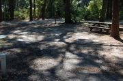Partially view of shaded campsite.