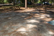 Partially view of shaded campsite.