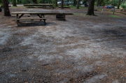 Partially view of shaded campsite.