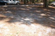 Partially view of shaded campsite.