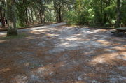 Partially view of shaded campsite.