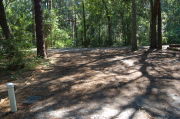 Partially view of shaded campsite.