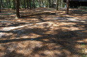 Partially view of shaded campsite.