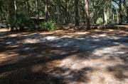 Partially view of shaded campsite.