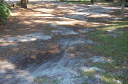Partially view of shaded campsite.