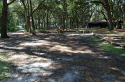 Partially view of shaded campsite.