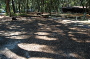 Partially view of shaded campsite.