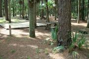 Primitive campsite with sand pad, picnic table and ground grill.