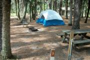 Primitive campsite with water spigot, sand pad, picnic table and ground grill. A blue tent and lawn chair are in the site, not included.