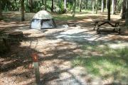 Primitive campsite with picnic table and ground grill. A small tent is in the site, not included.