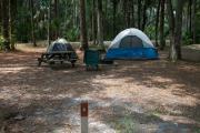 Primitive campsite with picnic table and ground grill. Two tents and lawn chair are in the site, not included.