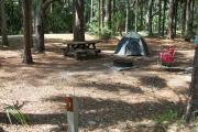 Primitive campsite with picnic table and ground grill. A blue tent and two lawn chairs are in the site, not included.