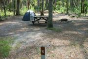 Primitive campsite with picnic table and ground grill. A blue tent and lawn chair are in the site, not included.