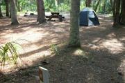 Primitive campsite with picnic table and ground grill. A blue tent is in the site, not included.