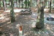 Cabin with picnic table and ground grill.