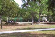 Photo: JONATHAN DICKINSON SP. A wide view of the picnic area at Jonathan Dickinson State Park shows people picnicking under large trees, picnic tables and grills and a childrenâs playground.