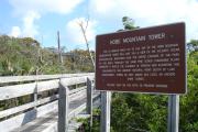 Photo: JONATHAN DICKINSON SP. The boardwalk leading up to the Hobe Mountain Observation Tower is shown, climbing several sets of stairs through scrub vegetation. Next to the boardwalk is a large sign explaining the natural history of the features surrounding the trail.