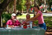 A view of the picnic area with a family enjoying a snack at a table in the shade of the trees while children play in the sun on the swings and slides.