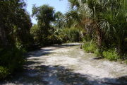 Oak trees, sable palms and palmettos surround the site.
