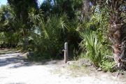 Site marker #3 in front of saw palmetto, sable palm and native shrubs on gray ground with little grass.