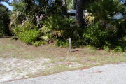Site marker for #4 in front of saw palmetto, pine and native shrubs on grassy ground.