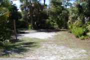 Dark and light green trees, palms and shrubs surround the open site.