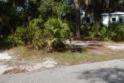 Site marker on grass near palmetto near paved road