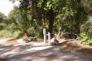Utility posts on gray ground in front of large trees